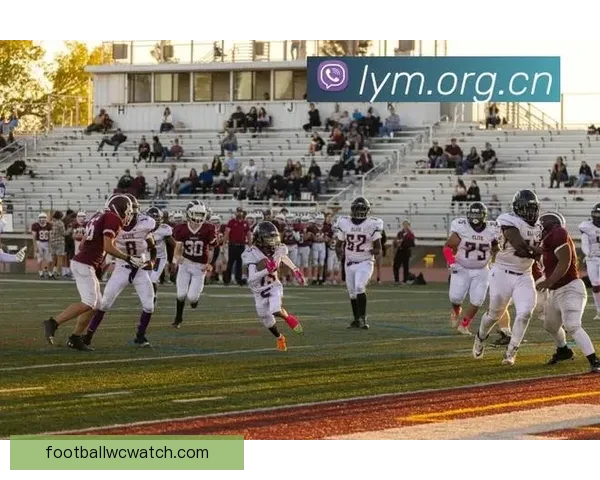 世界杯在线竞猜官网打造全新娱乐平台助力球迷畅享赛事激情